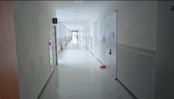 01.36733302.1 | 듀클래스넷